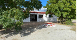 244 ha Estancia/Farm in Soriano (bei Mercedes)
