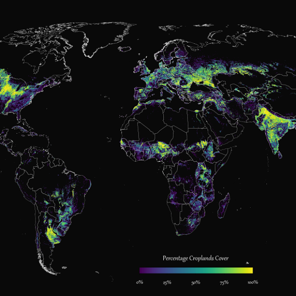 Kartiert: Wie viel der Welt ist von Ackerland bedeckt?
