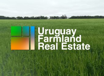 407 Ha in Soriano 50% hoch Produktives Agrarland 50% Grünland