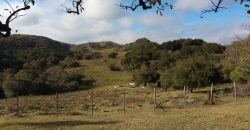 92 Ha in Lavalleja (30 Min. von Punta del Este)