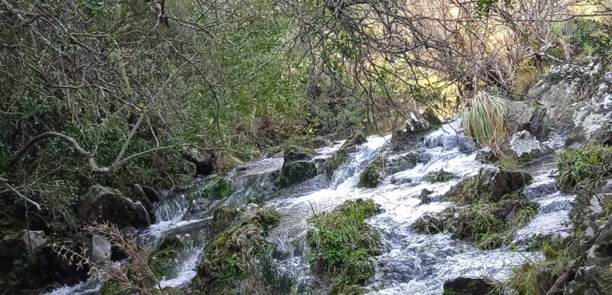 92 Ha in Lavalleja (30 Min. von Punta del Este)