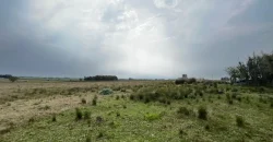 5.6 Ha Ackerland mit Haus in Tala – Canelones