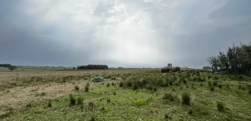 5.6 Ha Ackerland mit Haus in Tala – Canelones