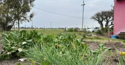 5.6 Ha Ackerland mit Haus in Tala – Canelones