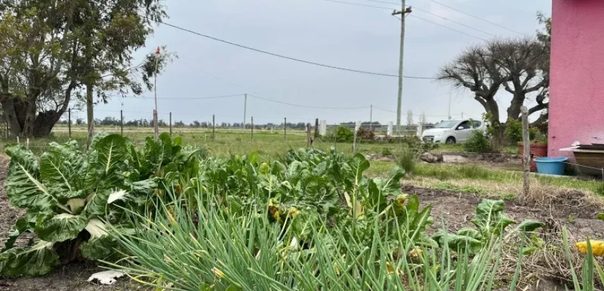 5.6 Ha Ackerland mit Haus in Tala – Canelones