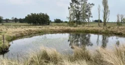 5.6 Ha Ackerland mit Haus in Tala – Canelones