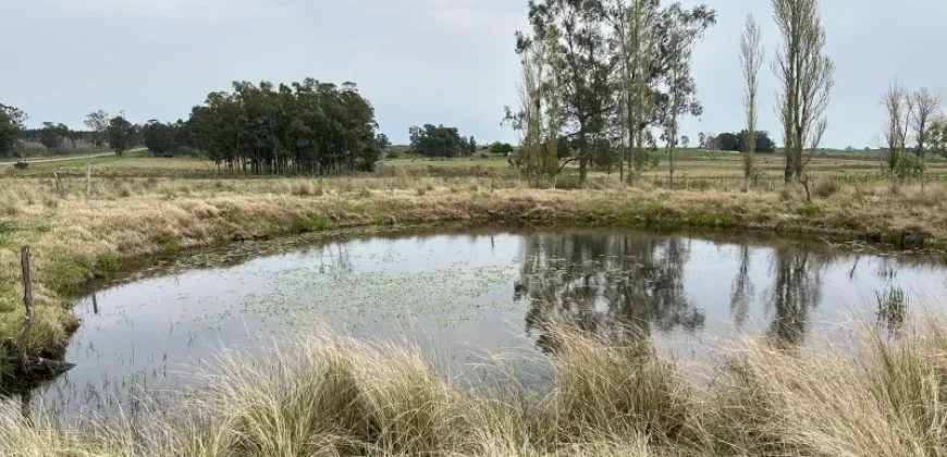5.6 Ha Ackerland mit Haus in Tala – Canelones