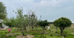 5.6 Ha Ackerland mit Haus in Tala – Canelones