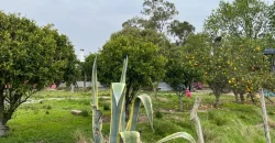 5.6 Ha Ackerland mit Haus in Tala – Canelones