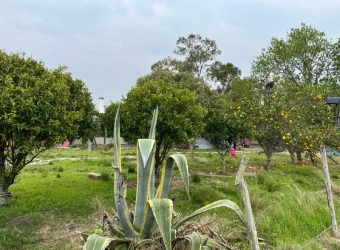 5.6 Ha Ackerland mit Haus in Tala – Canelones