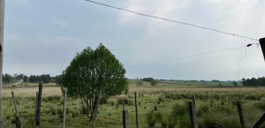 5.6 Ha Ackerland mit Haus in Tala – Canelones