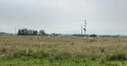 5.6 Ha Ackerland mit Haus in Tala – Canelones