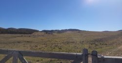 145 Ha in Minas Lavalleja für Forst- und Viehwirtschaft