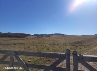 145 Ha in Minas Lavalleja für Forst- und Viehwirtschaft